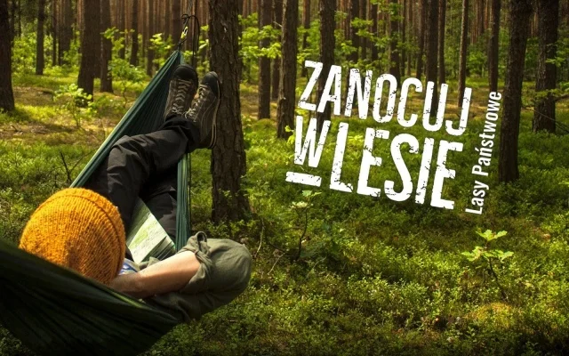"Zanocuj w lesie" w Bieszczadach - Zdjęcie główne