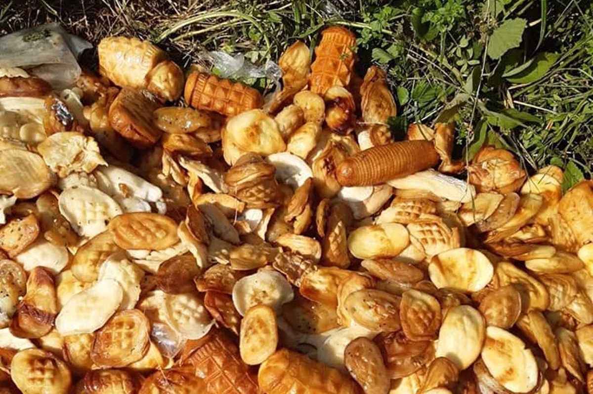Kilogramy "oscypków" wyrzuconych w Bieszczadach - Zdjęcie główne