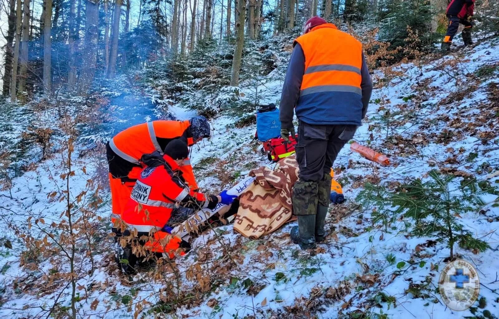 Poważny uraz nogi podczas prac leśnych w okolicy Cisnej. Do zdarzenia zadysponowano ratowników BPR oraz GOPR - Zdjęcie główne