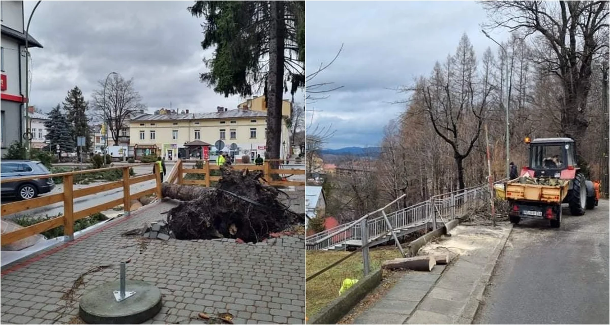 Silny wiatr w Bieszczadach. Zerwane dachy i powalone drzewa - Zdjęcie główne