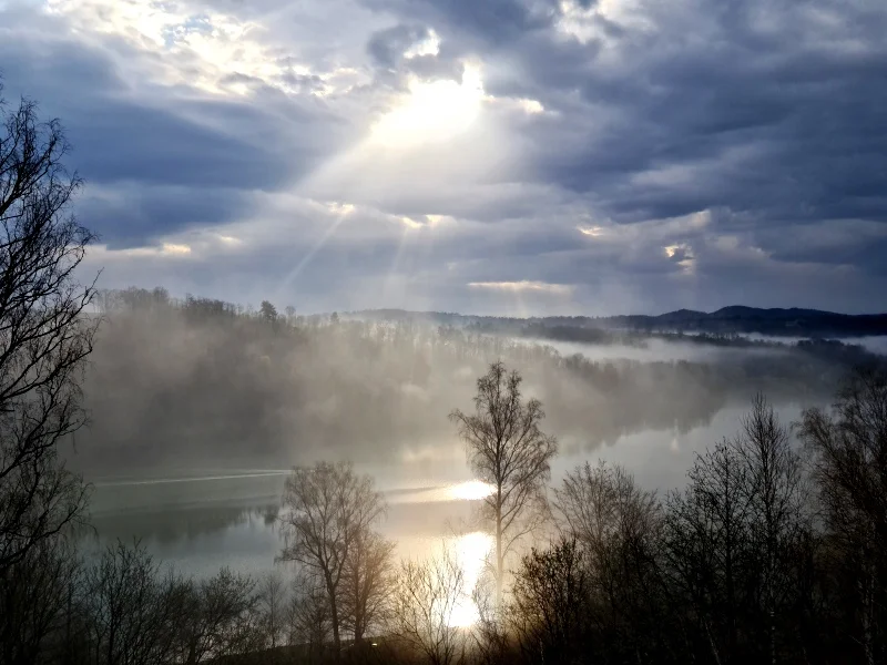 Majowy ptaków śpiew nad Soliną (wideo) - Zdjęcie główne