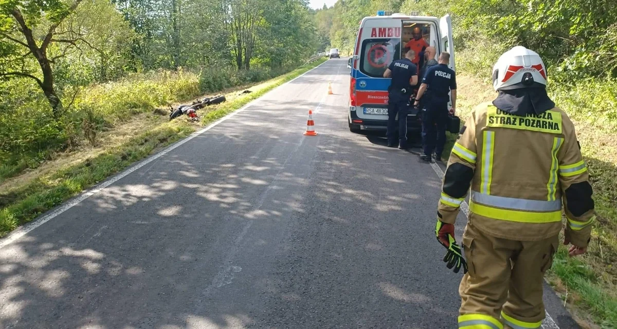 W Stuposianach motocyklista zderzył się z sarną. Nie było to jedyne zdarzenie z udziałem kierowcy jednośladu - Zdjęcie główne