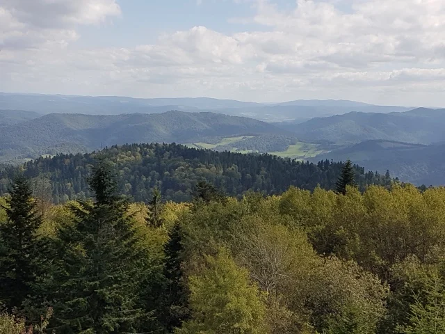 Bieszczady w pigułce z Ulą Wałachowską - Zdjęcie główne