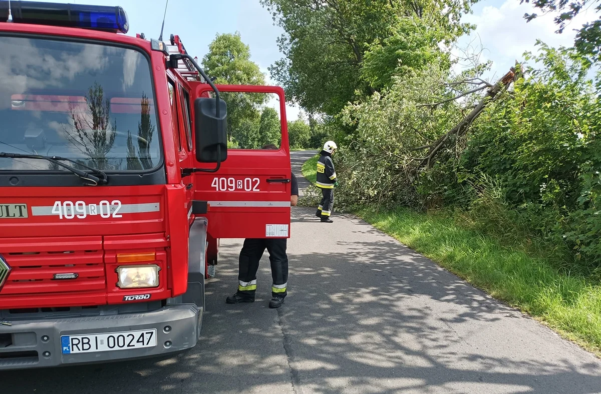 Załamanie pogody w Bieszczadach. Strażacy interweniowali w okolicy cerkwi w Bystrem - Zdjęcie główne