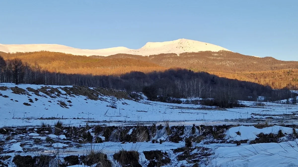 Bieszczady. Pogoda i warunki górskie na dziś. Poniedziałek, 15 stycznia - Zdjęcie główne