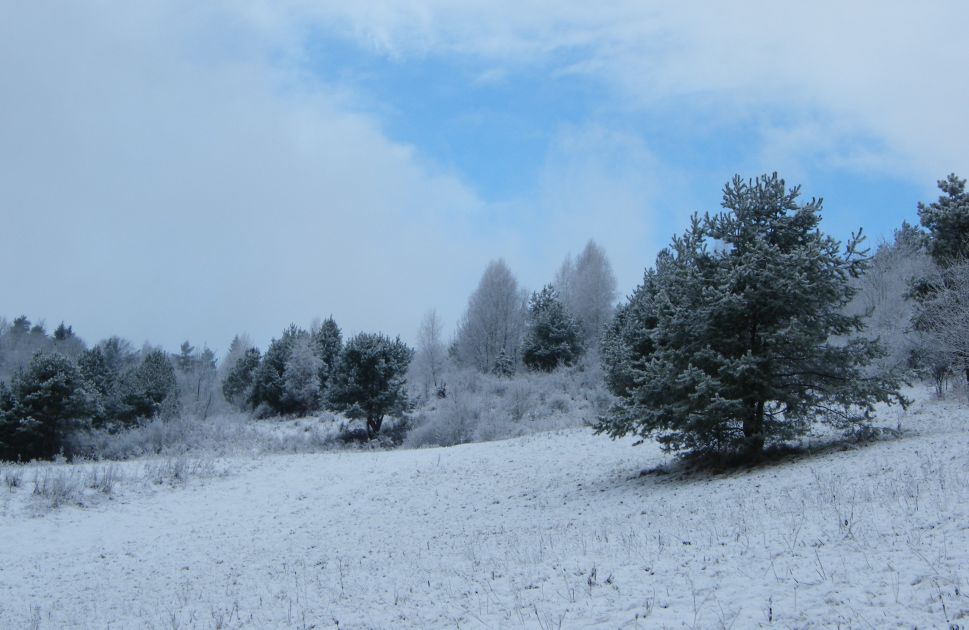 Warunki pogodowe w Bieszczadach - Zdjęcie główne