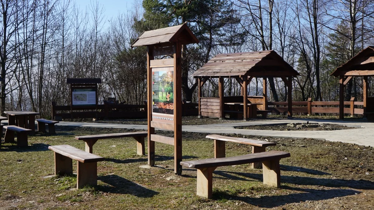 „Nowe życie” punktu widokowego z panoramą na Bieszczady. Tak wygląda teraz [ZDJĘCIA] - Zdjęcie główne