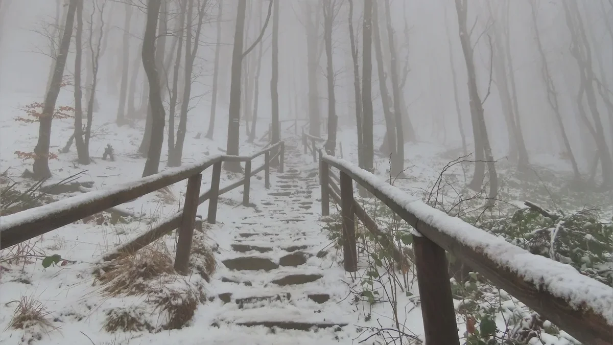 Bieszczady. Wszystkie odcinki szlaków turystycznych są drożne. W górach mogą występować zmienne warunki pogodowe - Zdjęcie główne