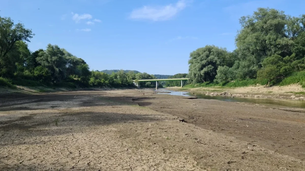 Znaczący spadek poziomu wody w bieszczadzkich rzekach. W Rajskiem można chodzić po dnie Sanu [ZDJĘCIA, WIDEO] - Zdjęcie główne