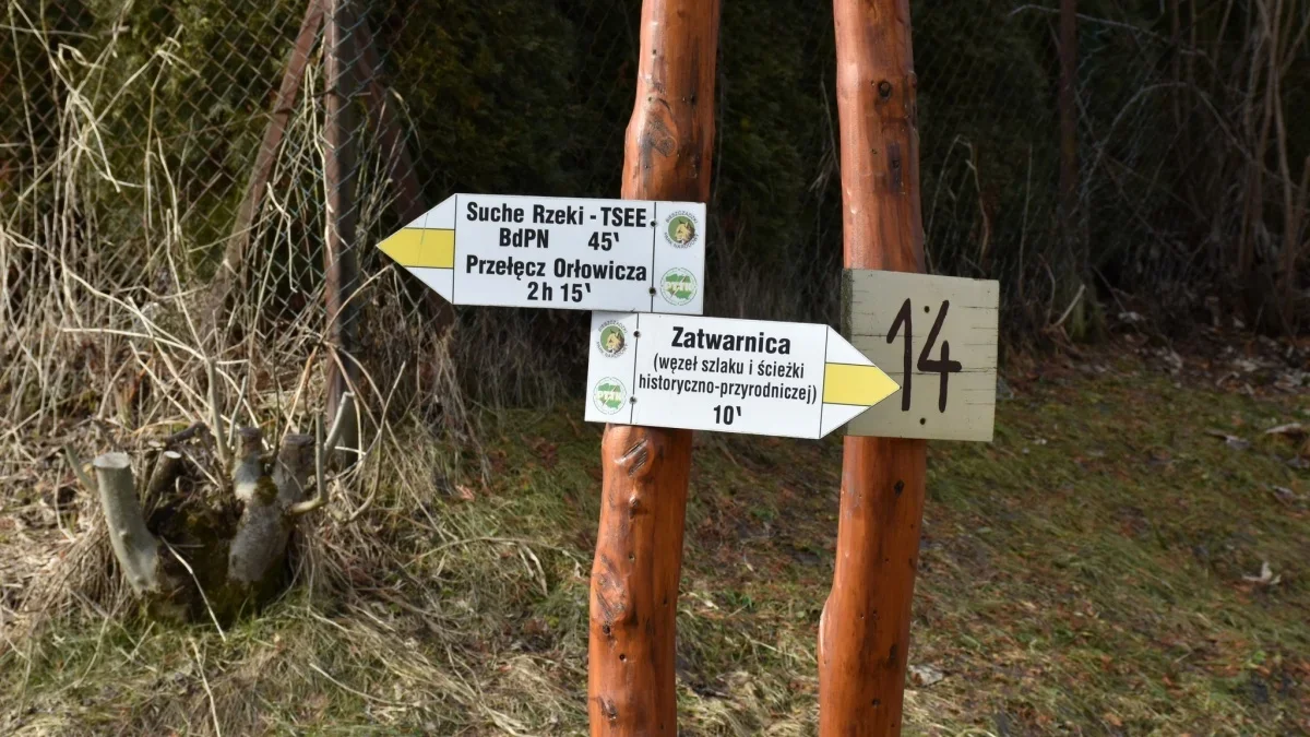 Bieszczady. Pogoda i warunki górskie na dziś. Wtorek, 13 lutego - Zdjęcie główne