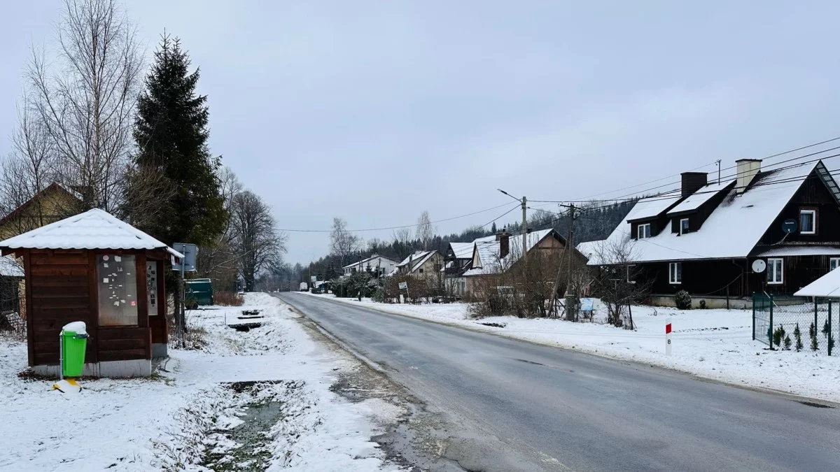 Bieszczady. Pogoda i warunki górskie na dziś. Piątek 13 grudnia - Zdjęcie główne