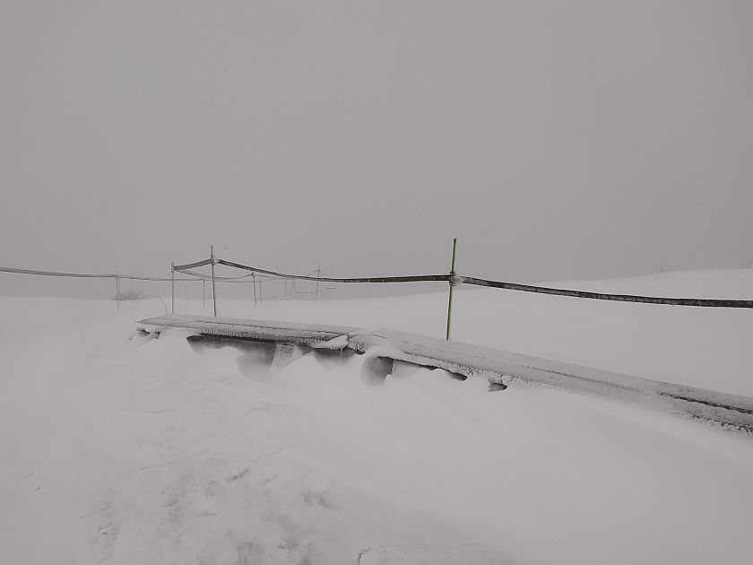 Najnowszy komunikat BdPN o stanie szlaków w Bieszczadach - Zdjęcie główne
