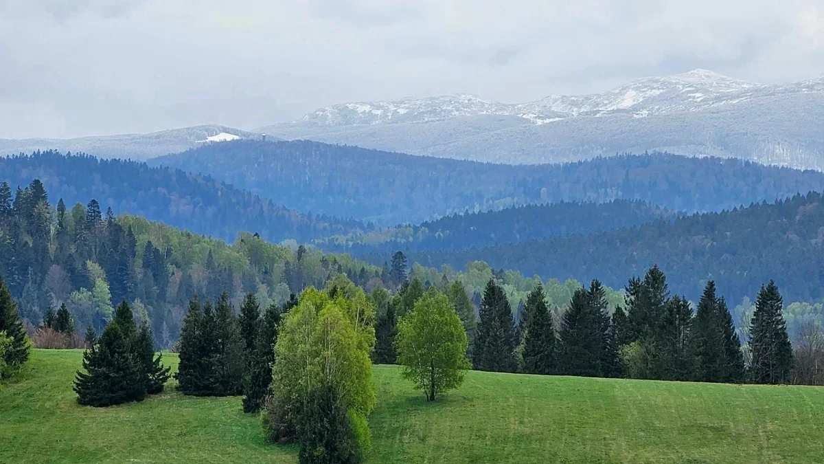 Bieszczady. Pogoda i warunki górskie na dziś. Piątek, 19 kwietnia - Zdjęcie główne