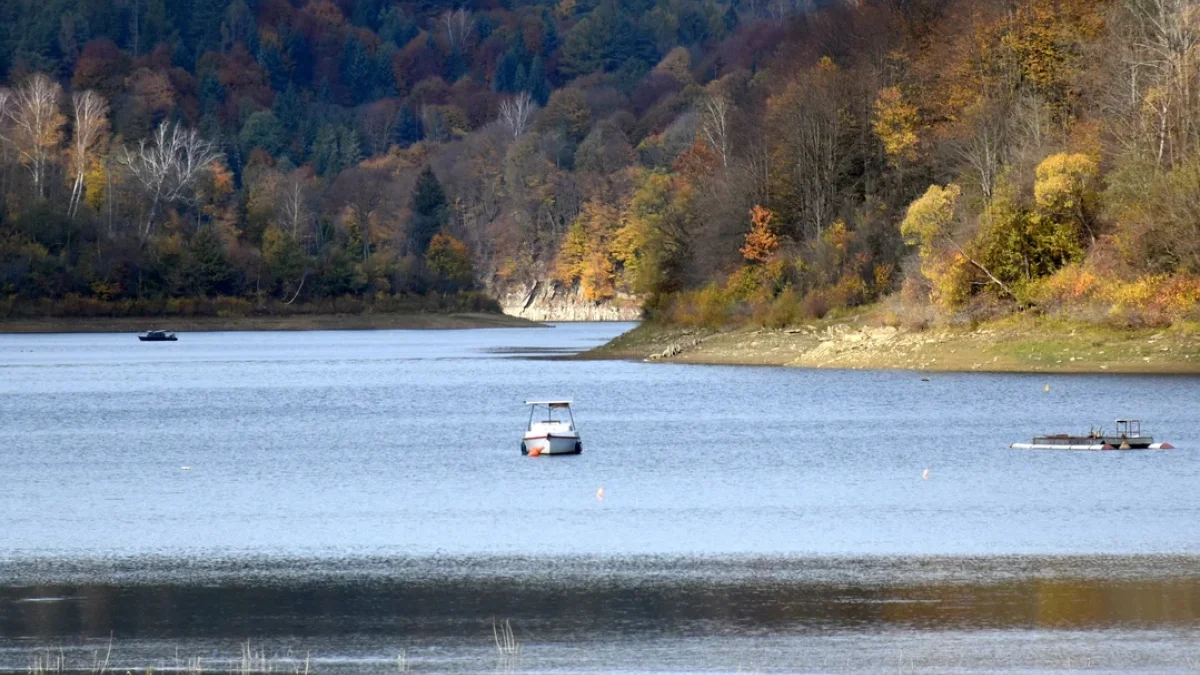 Bieszczady. Pogoda i warunki górskie na dziś. Sobota, 28 października - Zdjęcie główne