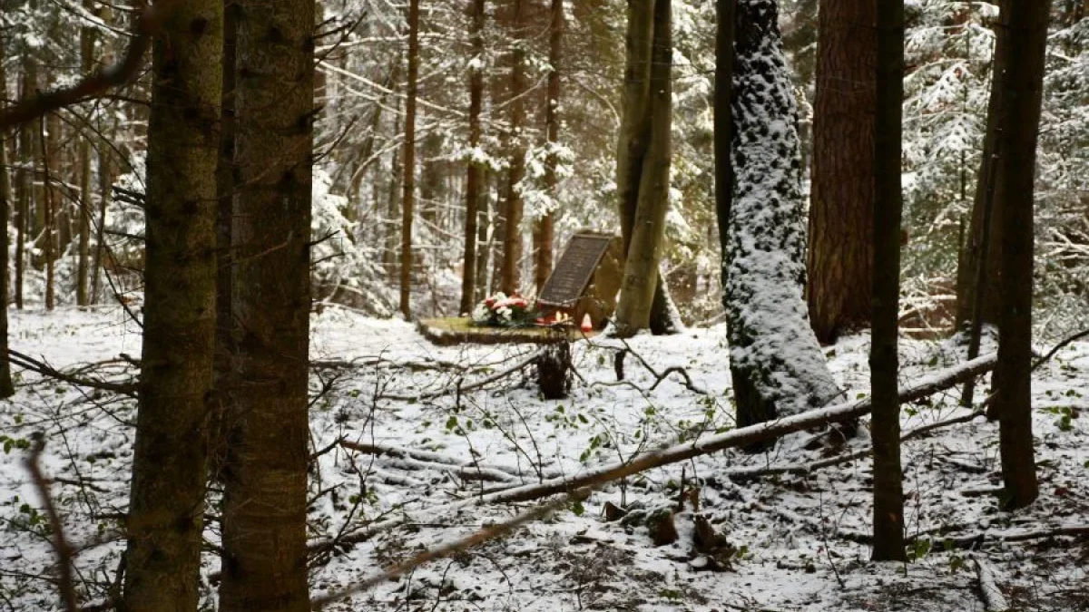 Katastrofa na zalesionym stoku góry. 31. lat temu w okolicach Cisnej rozbił się helikopter - Zdjęcie główne