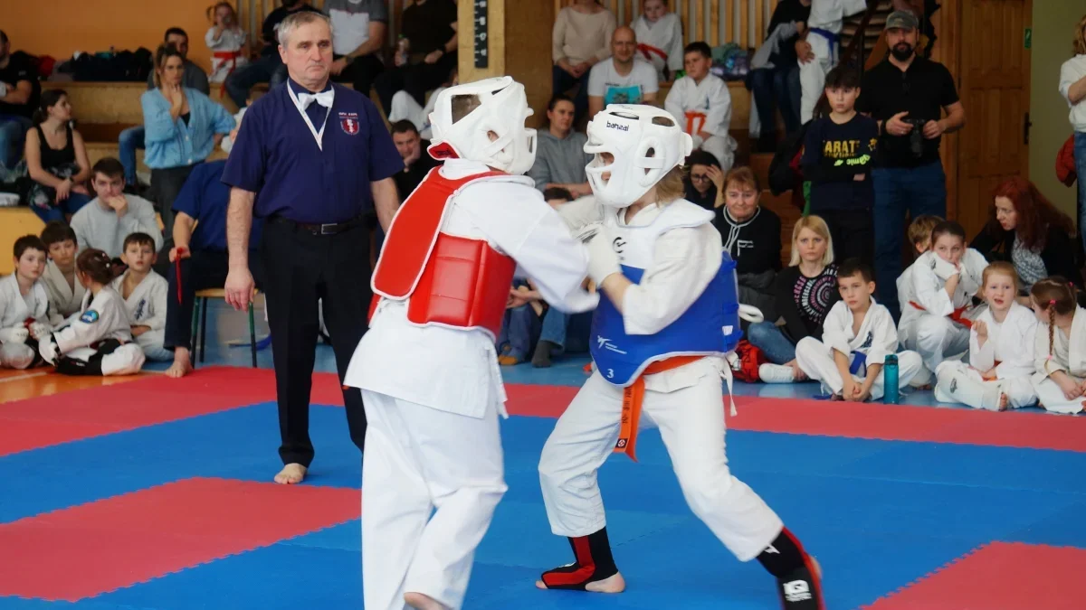 Turniej Karate Kyokushin. Do Leska przyjechało mnóstwo sportowców [ZDJĘCIA, WIDEO] - Zdjęcie główne