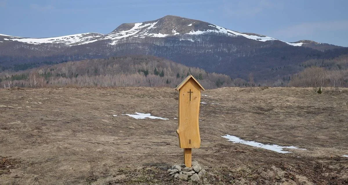 Bieszczady. Turyści mogą już przejść szlakiem na Przełęcz Bukowską. Prace na odcinku trasy zostały zakończone - Zdjęcie główne