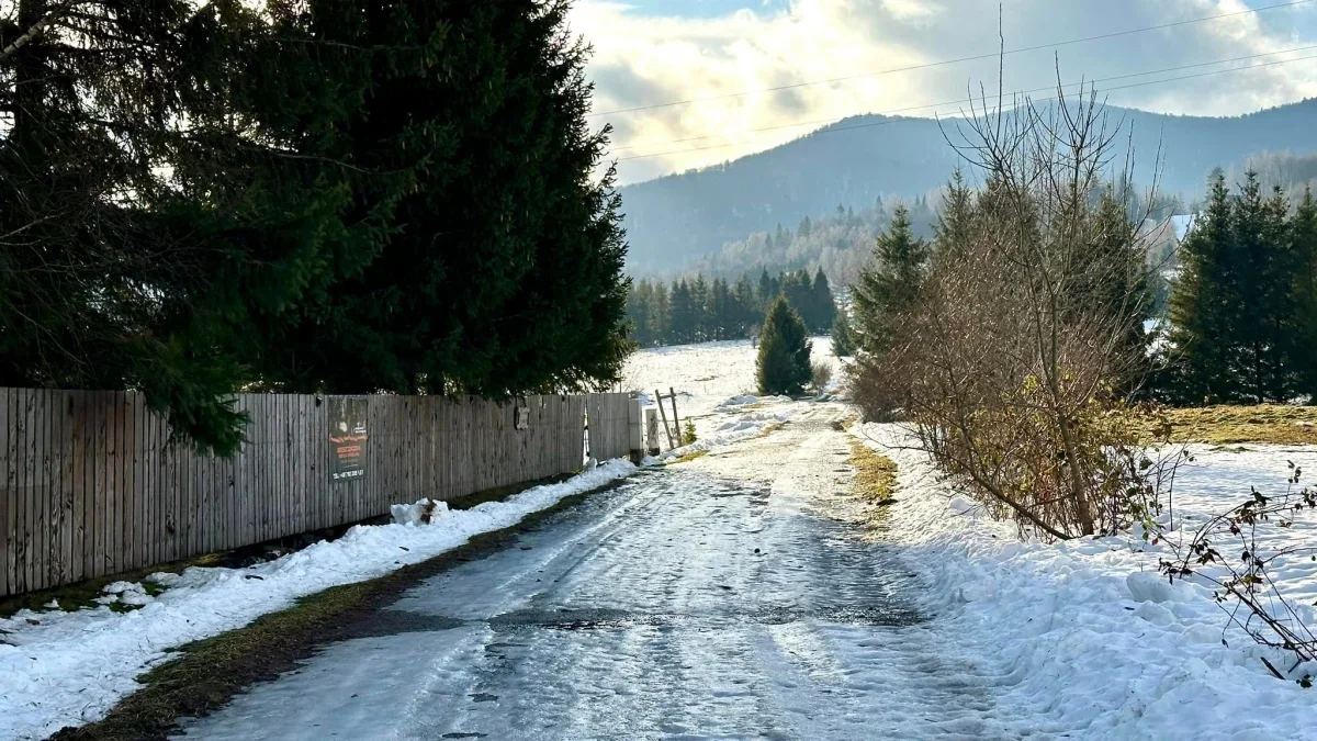 Bieszczady. Pogoda i warunki górskie na dziś. Poniedziałek, 01 stycznia - Zdjęcie główne