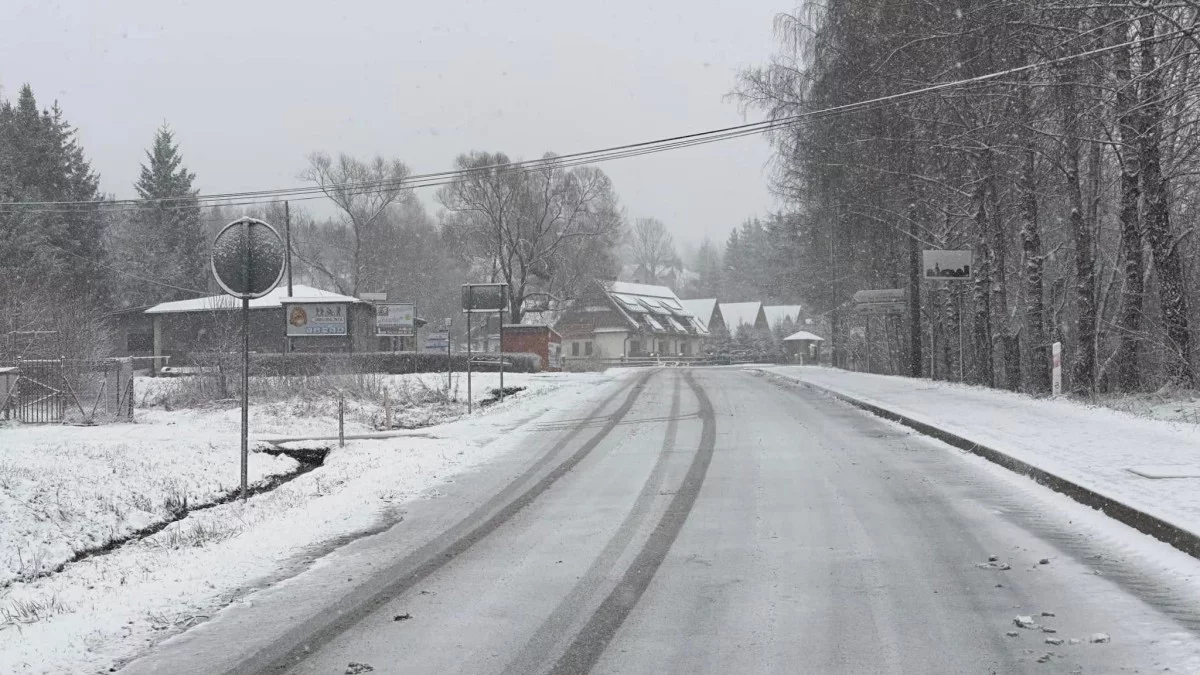 Bieszczady. Pogoda i warunki górskie na dziś. Sobota 11 stycznia - Zdjęcie główne