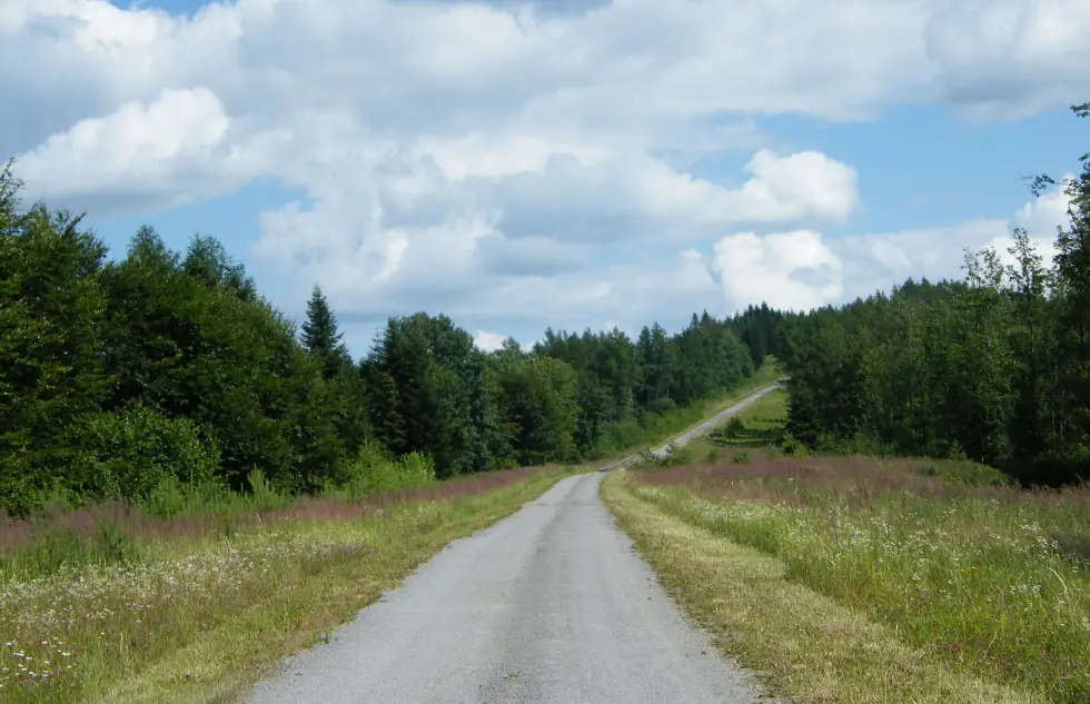 Bieszczady w śmieciach - Zdjęcie główne