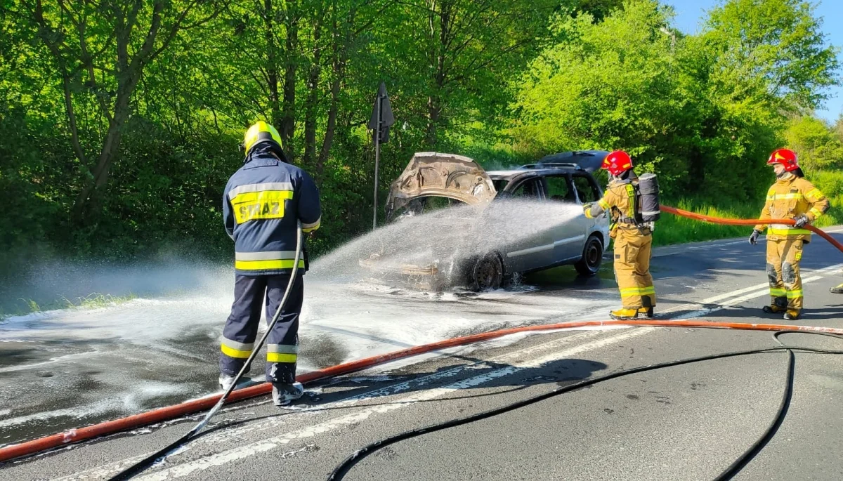 Pożar samochodu osobowego na drodze krajowej w Olszanicy. Nikt nie został ranny - Zdjęcie główne