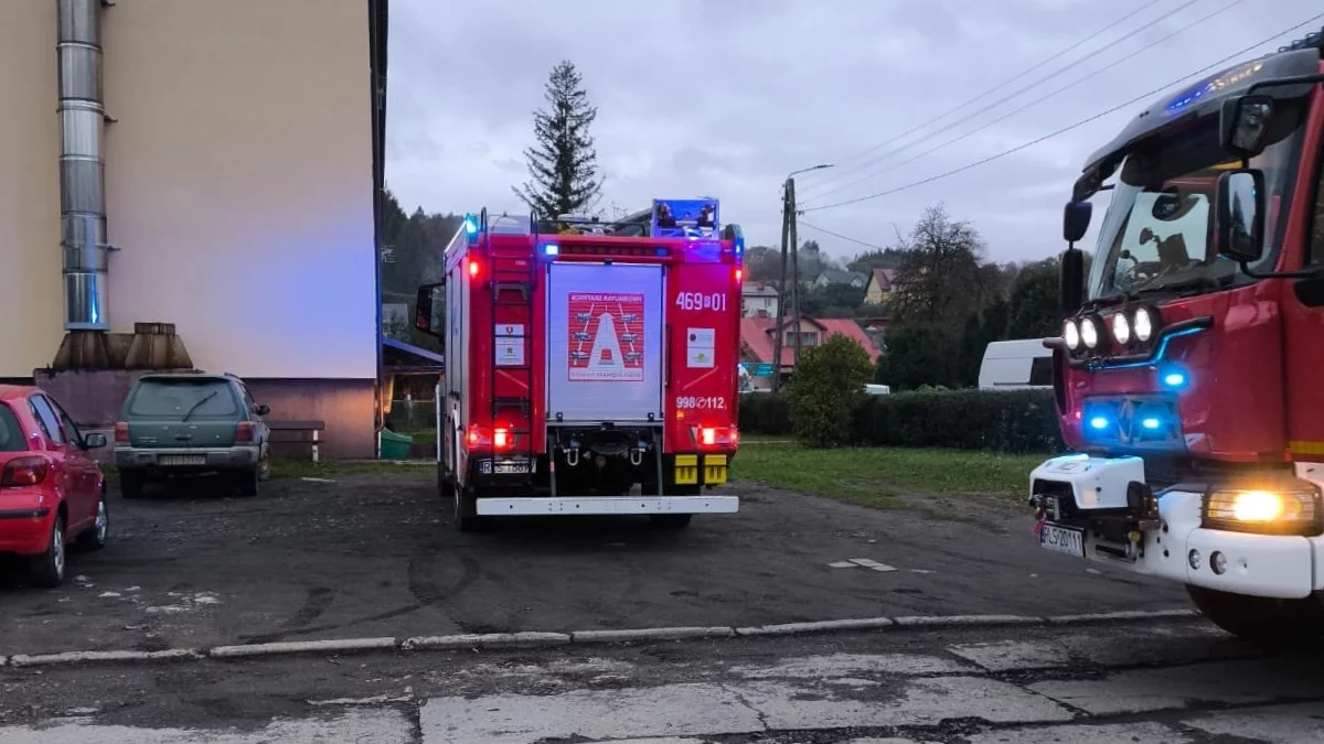 Bieszczady. Nie było karetki pogotowia, przyjechali strażacy. Mężczyzny nie udało się uratować - Zdjęcie główne