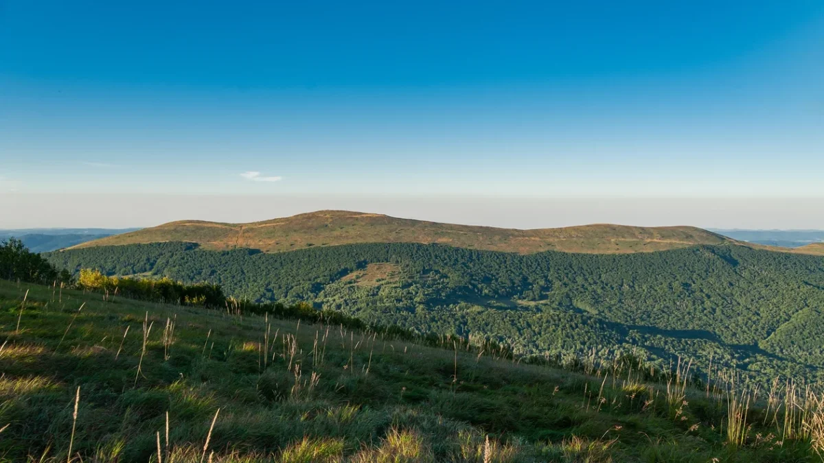 Bieszczady. Pogoda i warunki górskie na dziś. Sobota, 26 sierpnia - Zdjęcie główne