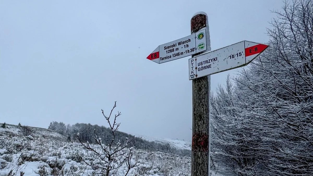 Wybierasz się na weekend w Bieszczady? O tym musisz wiedzieć - Zdjęcie główne