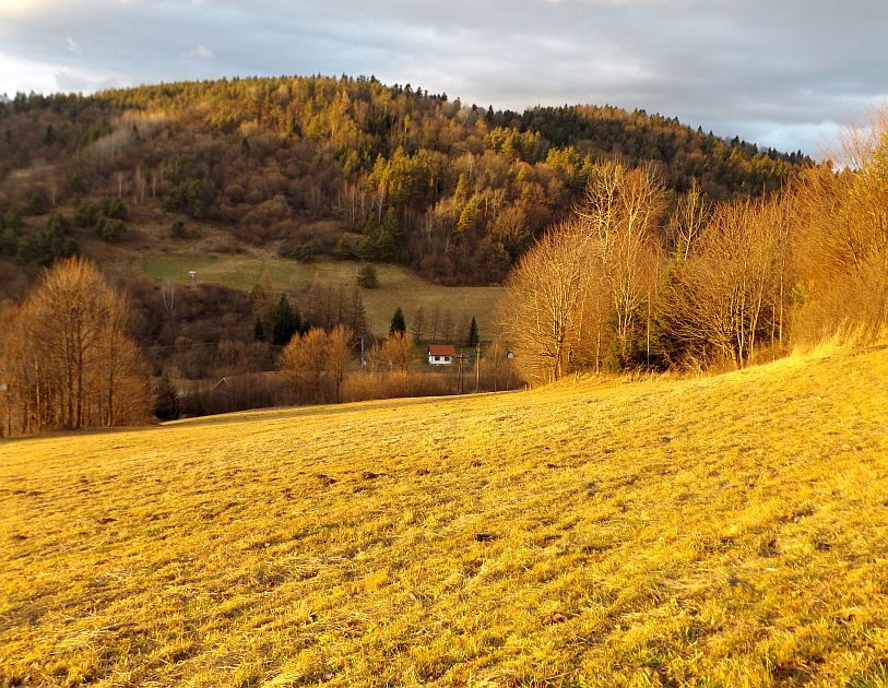 Warunki pogodowe w Bieszczadach - Zdjęcie główne