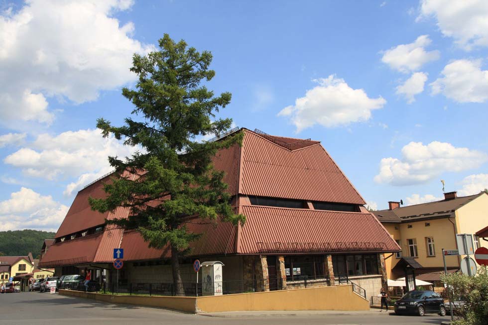 Muzeum przyrodnicze wznawia działalność - Zdjęcie główne