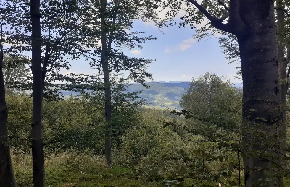 ścieżka Dwernik-Kamień / Pierwsza panorama, do szczytu jeszcze kilkanaście minut