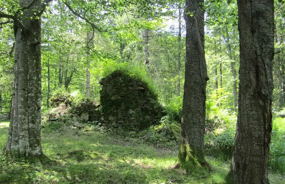 fot. Ola Troszczyńska / Caryńskie - szczątki kaplicy