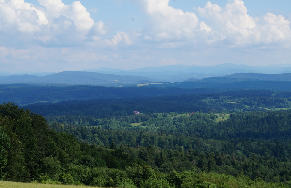 Fot. Kamil Mielnikiewicz - Panorama z szybowiska w Bezmiechowej