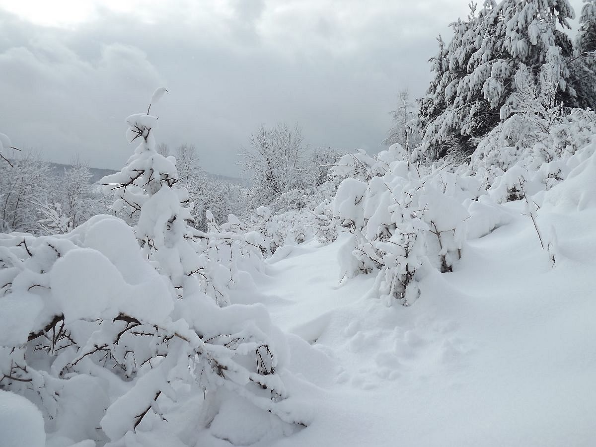 Prognozy się nie myliły. W Bieszczadach śnieg padał przez wiele godzin - teraz jest bajkowo! [ZDJĘCIA] - Zdjęcie główne