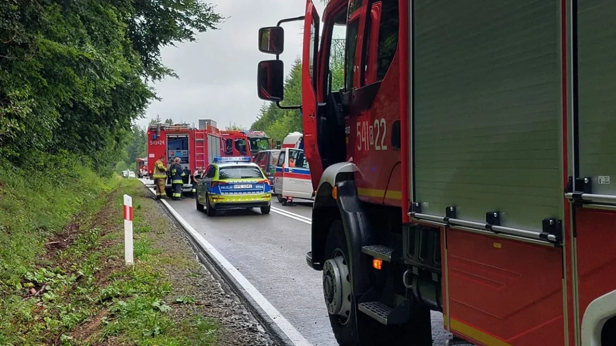 Śmiertelny wypadek między Cisną a Komańczą. Nie żyje 48-letni kierowca - Zdjęcie główne