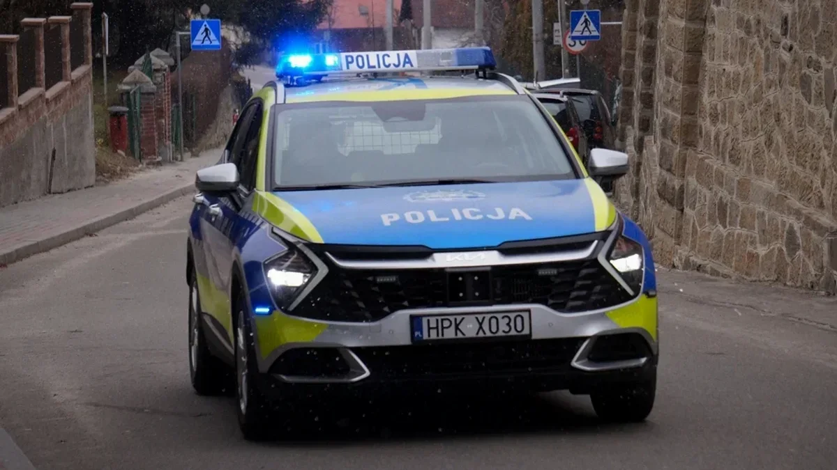 Bieszczady. Zagrożenie życia po użądleniu przez osy. Potrzebna była eskorta policji do szpitala - Zdjęcie główne