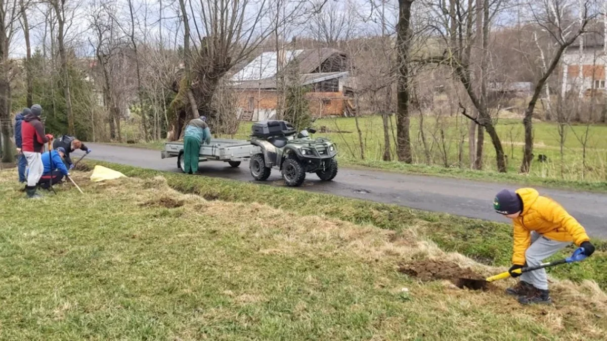 Mieszkańcy Nagórzan włączyli się w akcję sadzenia drzew. "To bardzo ważna sprawa dla naszej przyrody" - Zdjęcie główne