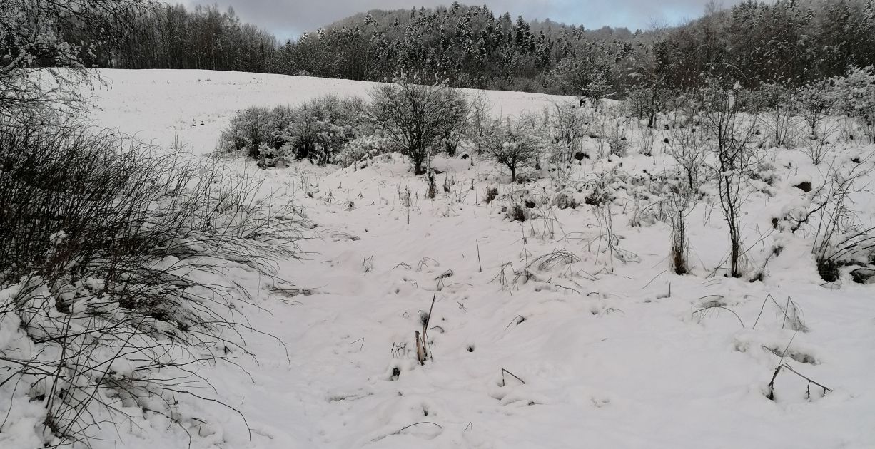 Warunki pogodowe w Bieszczadach - Zdjęcie główne