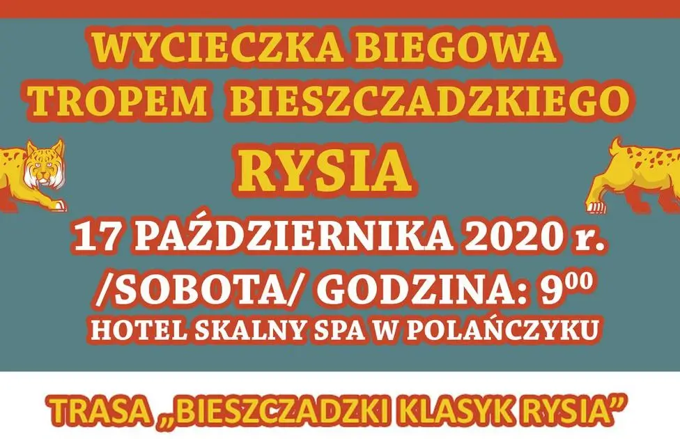 17 października. "Wycieczka Biegowa Tropem Bieszczadzkiego Rysia" - Zdjęcie główne