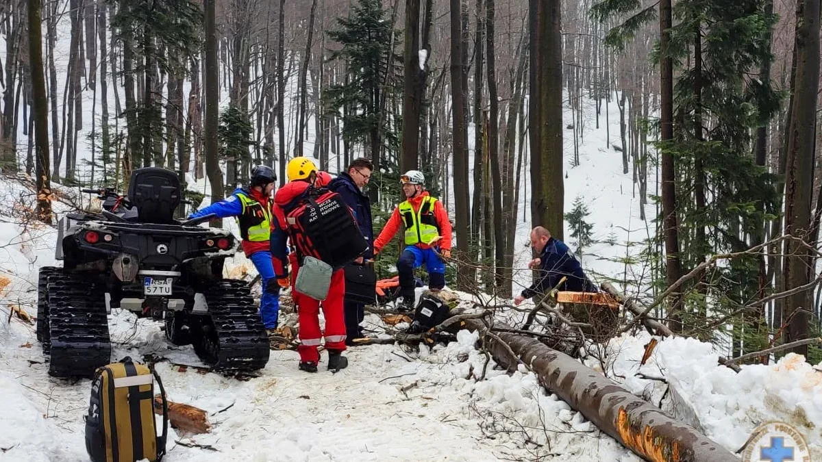 Tragedia podczas prac leśnych w Bieszczadach. Mężczyznę przygniotło drzewo - Zdjęcie główne