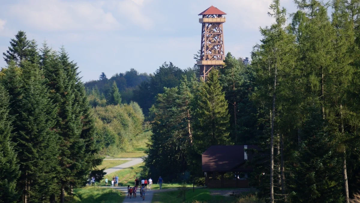 Dwa bieszczadzkie szlaki turystyczne dostępne dla osób z niepełnosprawnością wzroku - Zdjęcie główne