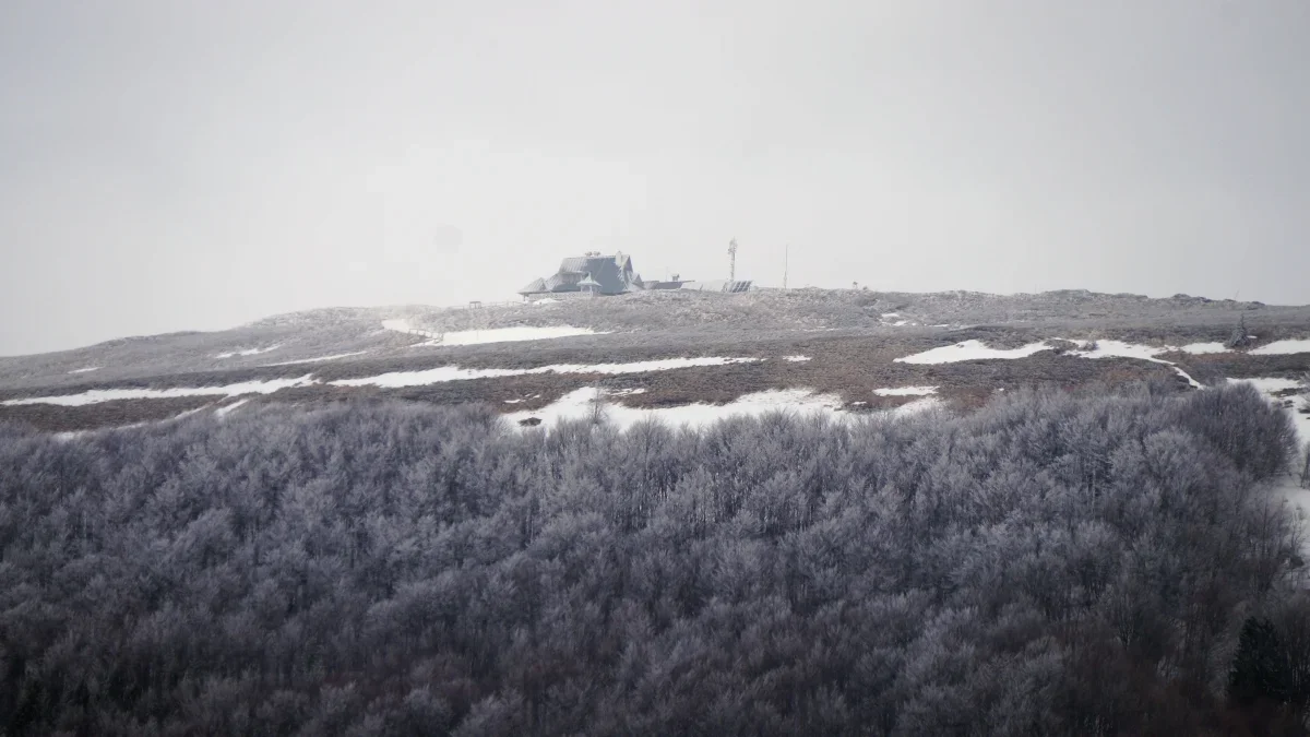 Jedziesz w Bieszczady? Sprawdź najnowszy komunikat o warunkach w górach - Zdjęcie główne