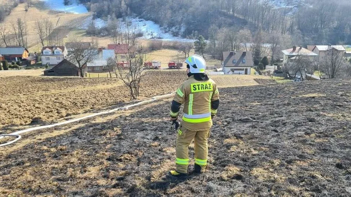 Bezmiechowa, Łączki, Olszanica... Strażacy codziennie wyjeżdżają do pożarów traw - Zdjęcie główne