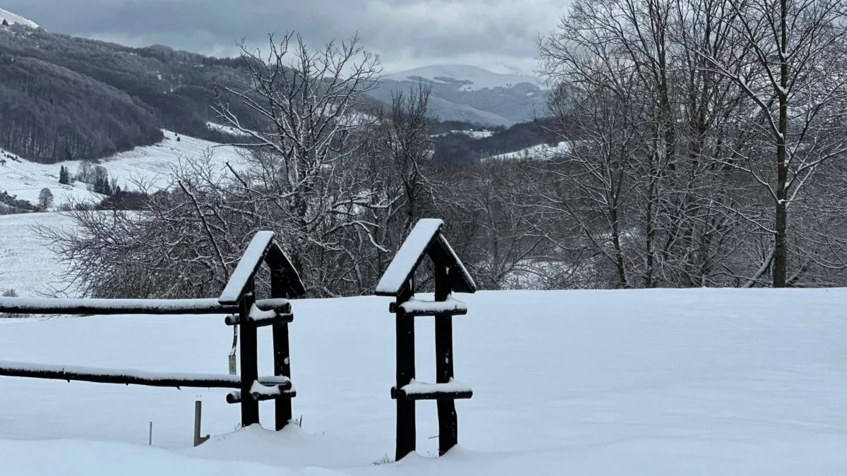 Bieszczady. Pogoda i warunki górskie na dziś. Sobota 4 stycznia - Zdjęcie główne