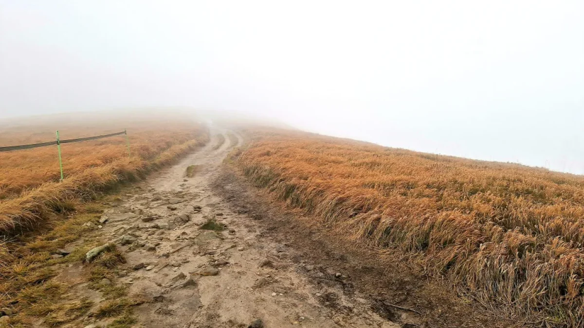 Bieszczady. Pogoda i warunki górskie na dziś. Sobota, 11 listopada - Zdjęcie główne