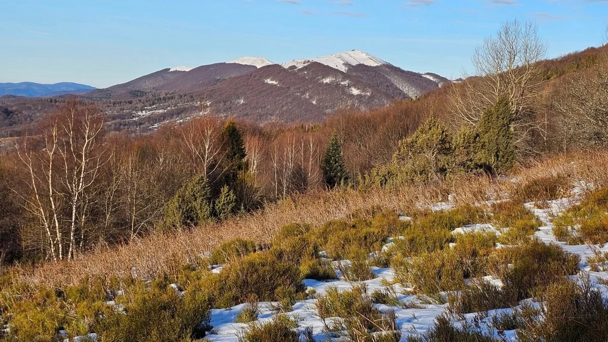 Bieszczady. Pogoda i warunki górskie na dziś. Poniedziałek 30 grudnia - Zdjęcie główne