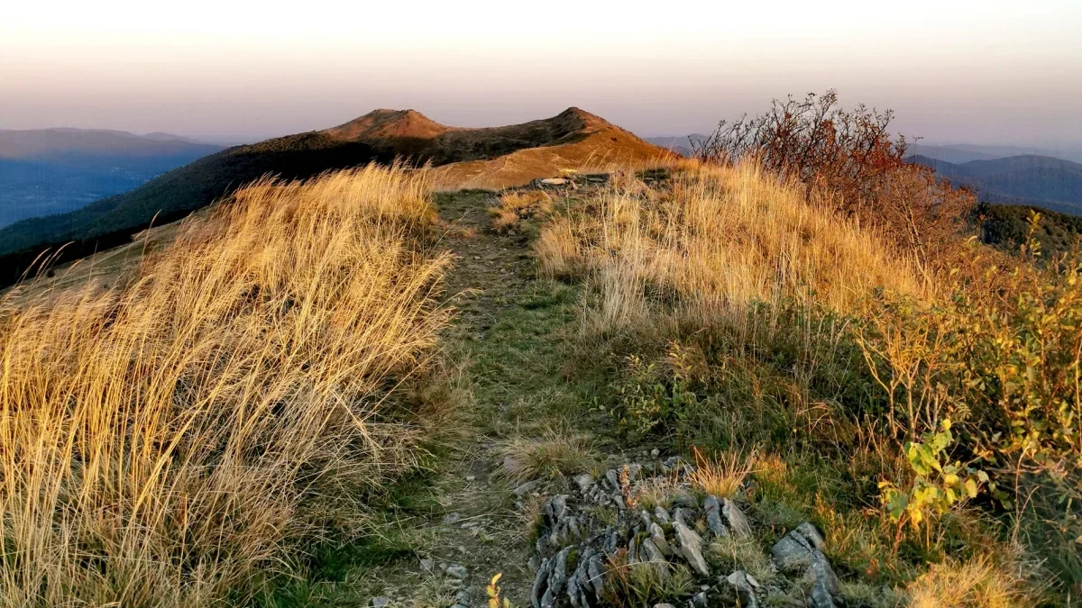 Bieszczady. Pogoda i warunki górskie na dziś. Środa, 04 października - Zdjęcie główne