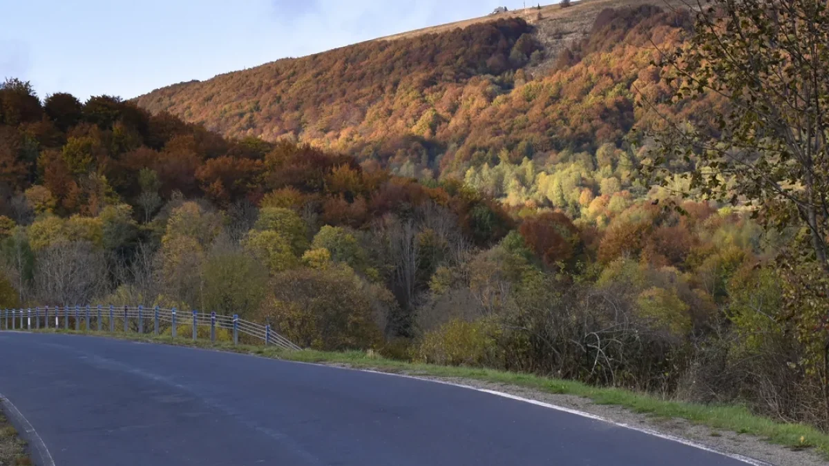 Bieszczady. Pogoda i warunki górskie na dziś. Środa, 25 października - Zdjęcie główne