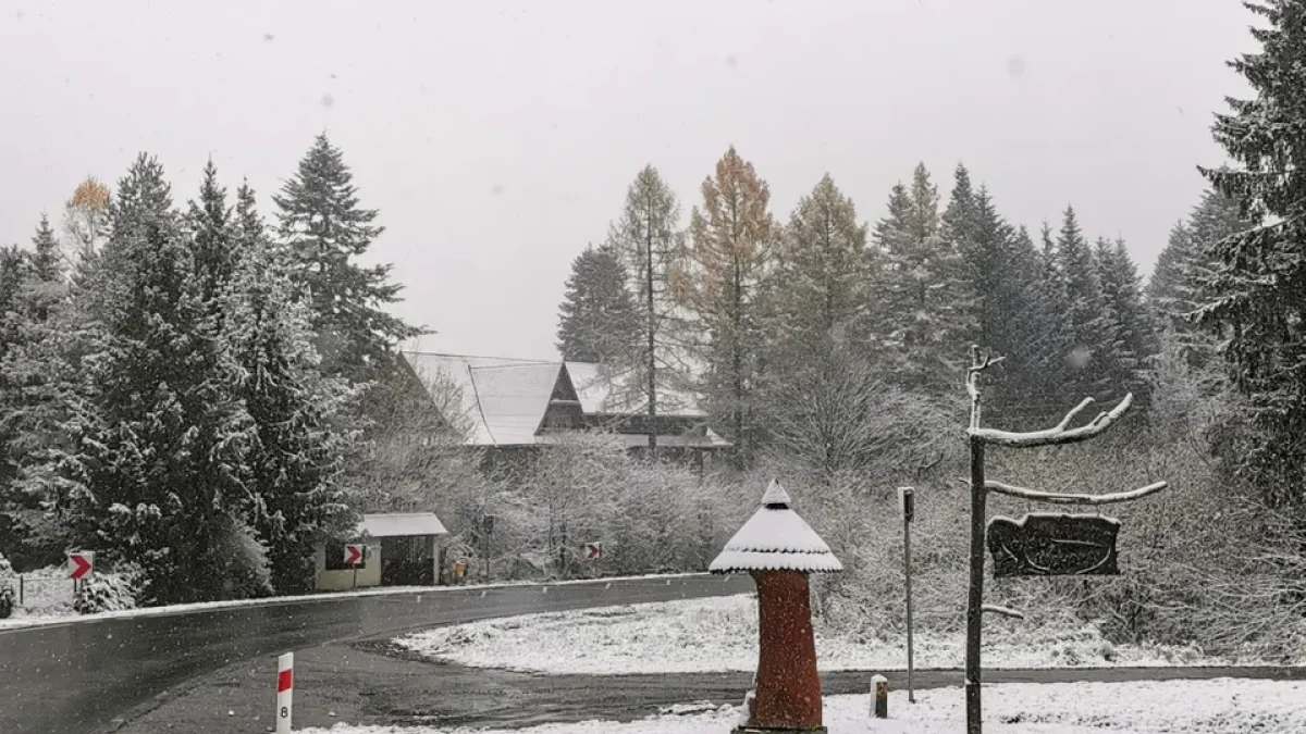 Bieszczady. Pogoda i warunki górskie na dziś. Niedziela, 19 listopada - Zdjęcie główne