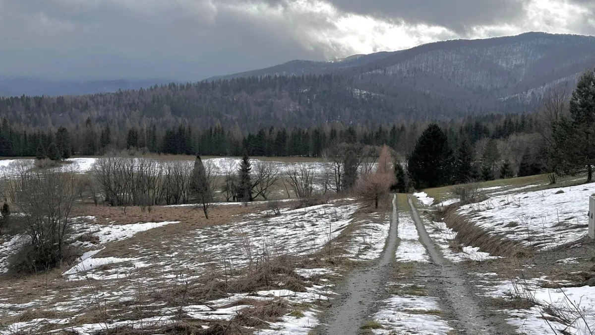 Bieszczady. Pogoda i warunki górskie na dziś. Sobota, 06 stycznia - Zdjęcie główne